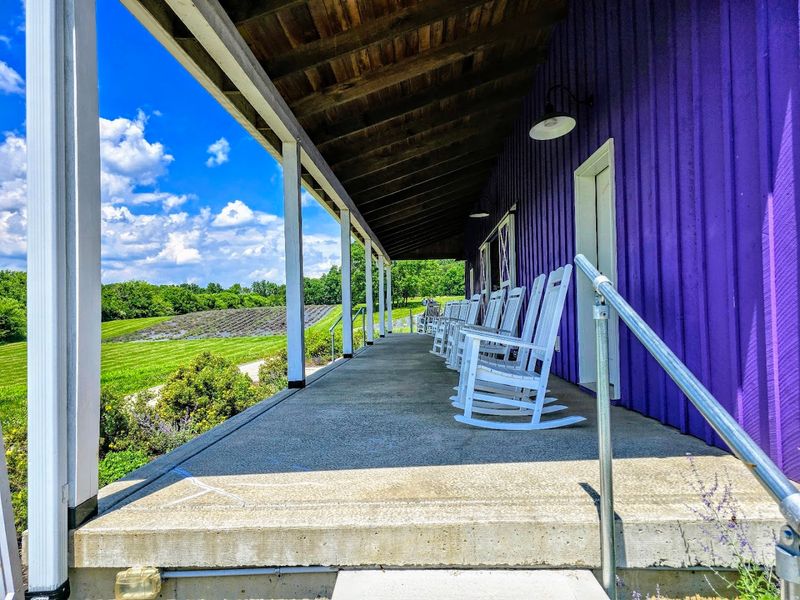 Lavender Lemonade And The Porch Moment Lavender Lemonade And The Porch Moment