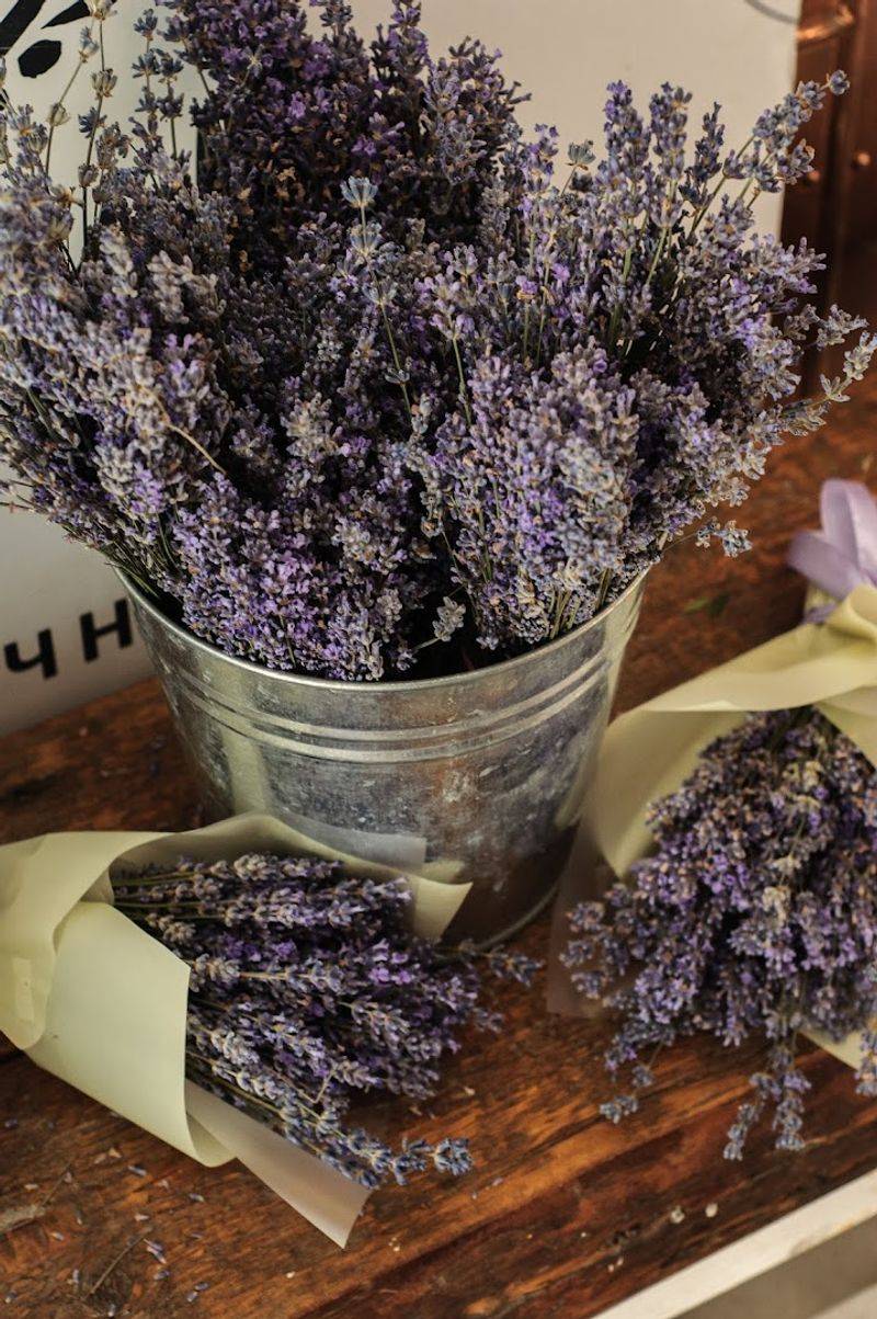 Lavender Products That Go Way Beyond A Pretty Smell Lavender Products That Go Way Beyond A Pretty Smell