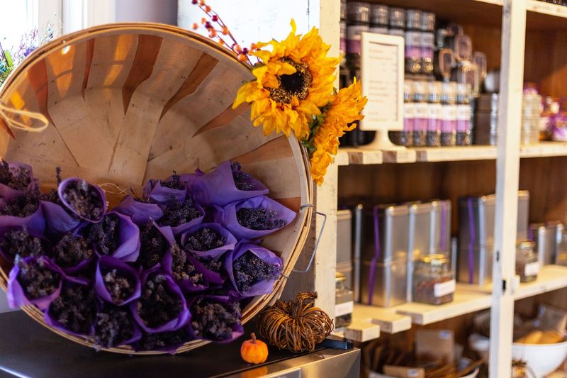 The Boutique And Coin-Floor Surprise