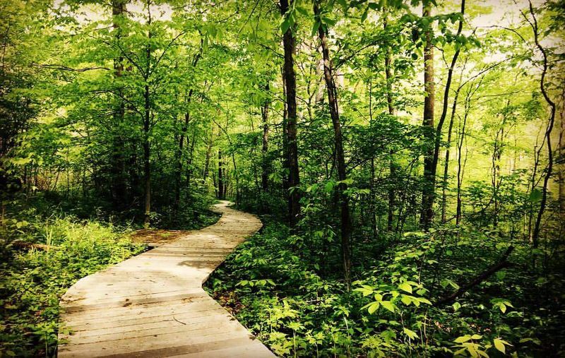 Lawrence Woods State Nature Preserve, Kenton, Ohio