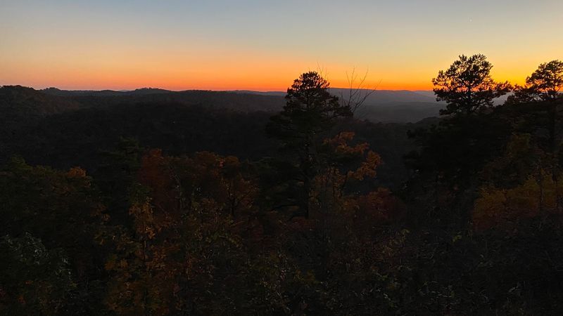 Golden Light Transforming The Landscape At Sunset