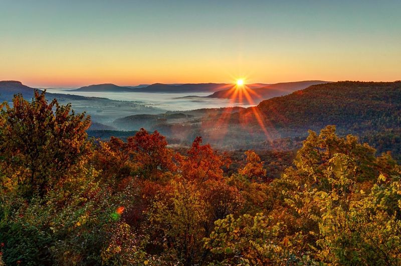 A Panoramic Drop Above Arkansas Wilderness