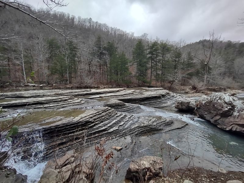 Layered Rock Ledges Beneath The Trees
