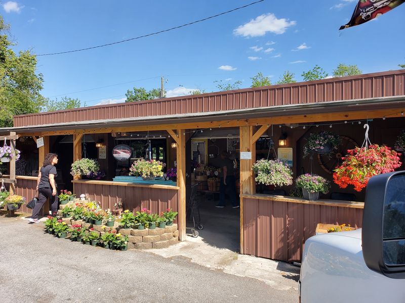 Layne's Country Store