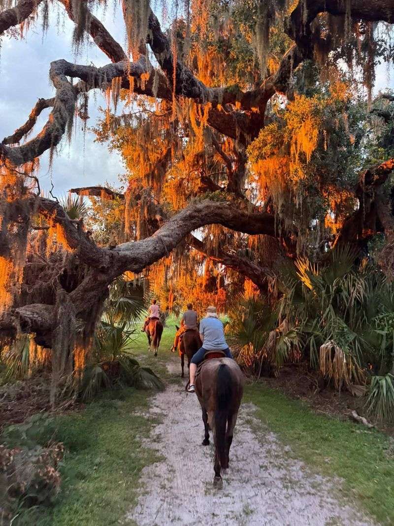 Lazy H Ranch Trail Rides, Kissimmee