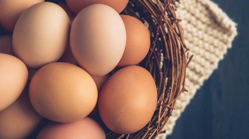 Eggs: Protein Powerhouses