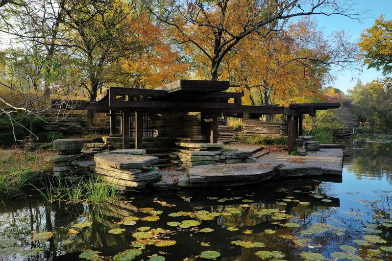 Alfred Caldwell Lily Pool, Chicago