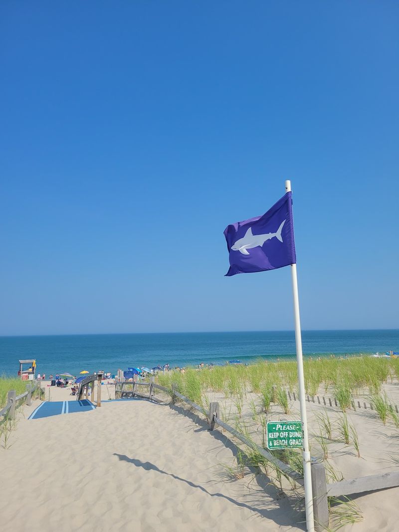 Learn the Flag Colors Before Your Toes Touch the Water