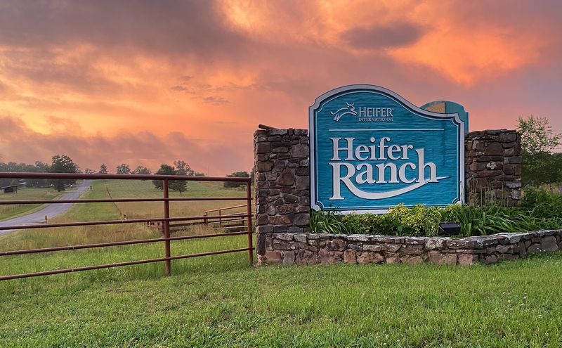 Seasonal Events And Special Offerings For Visitors