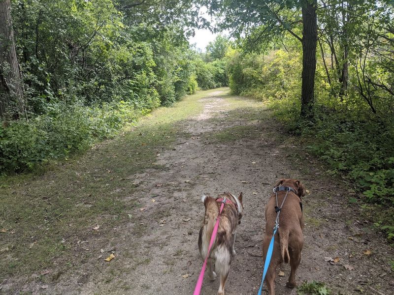 Leashed Trails Are Part Of The Appeal