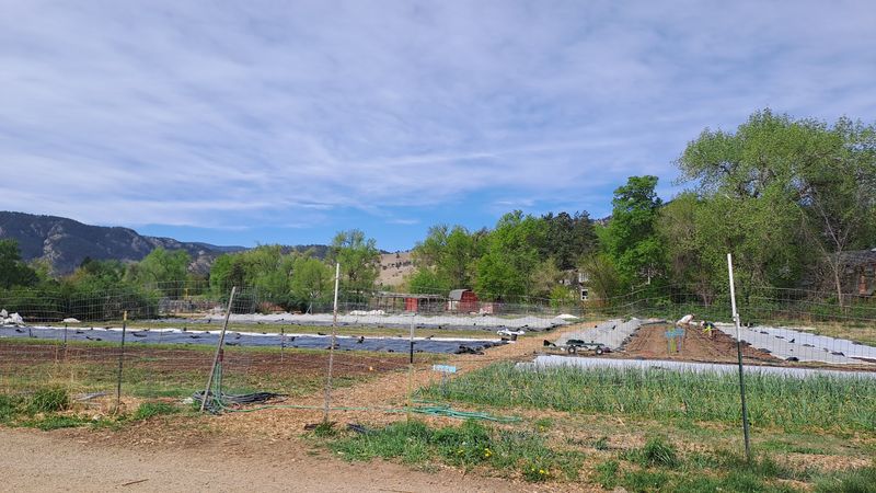 Leave Growing Gardens With Dinner, Not A Discount Assumption