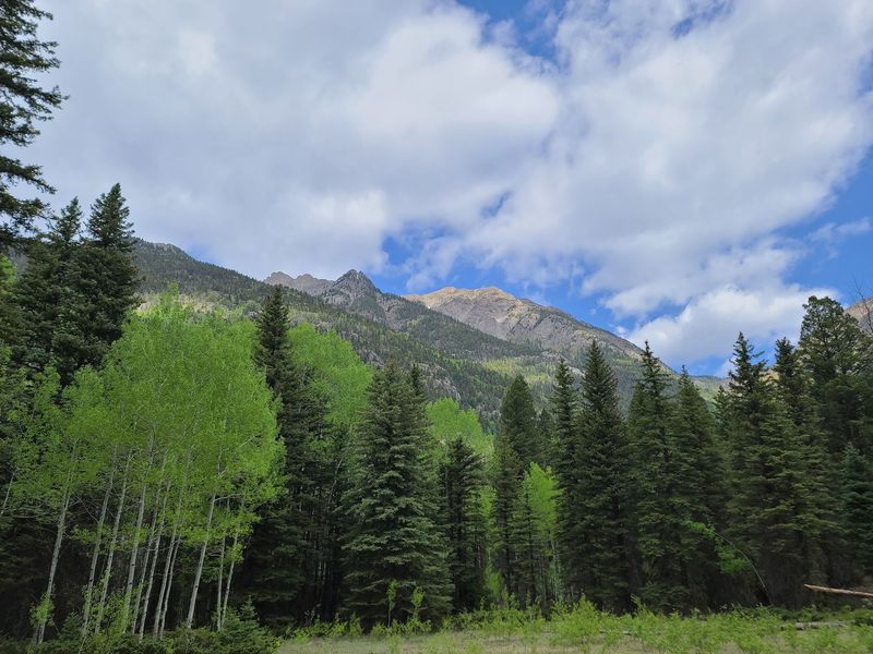 Leave No Trace Is Not Just A Nice Slogan Here