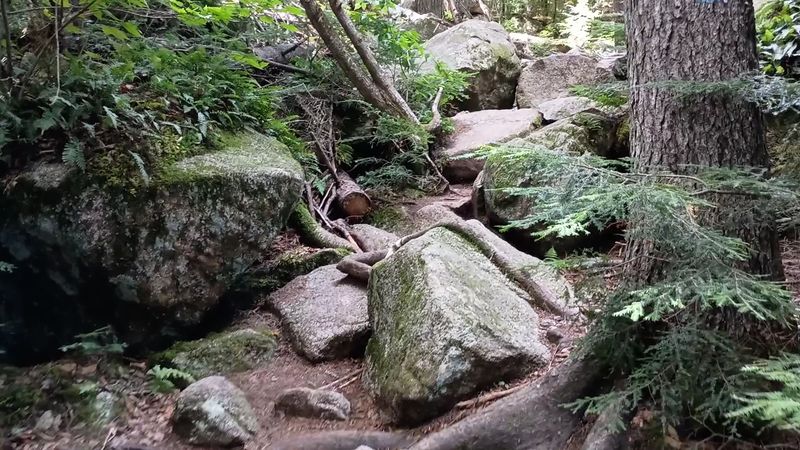 Leave No Trace Matters Deeply Here Leave No Trace Matters Deeply Here