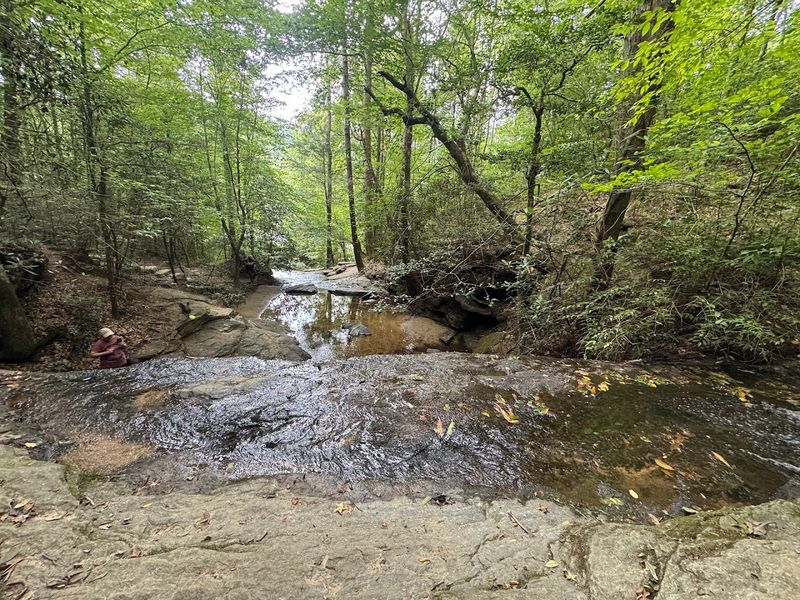 Dog Friendly And Family Approved