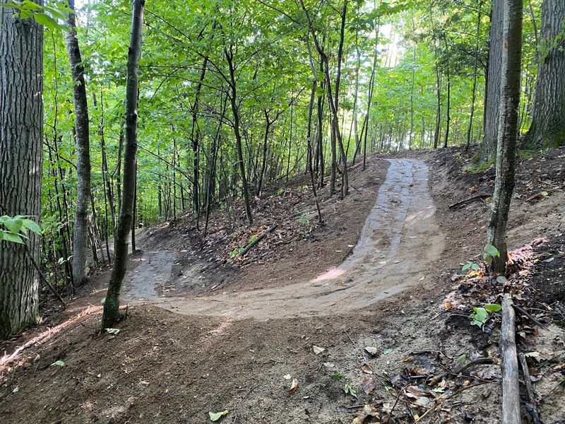 Leave The E-Bike At Home For Now