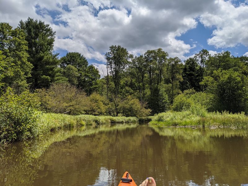 Leave The Gas Motor Behind And Grab A Paddle Leave The Gas Motor Behind And Grab A Paddle