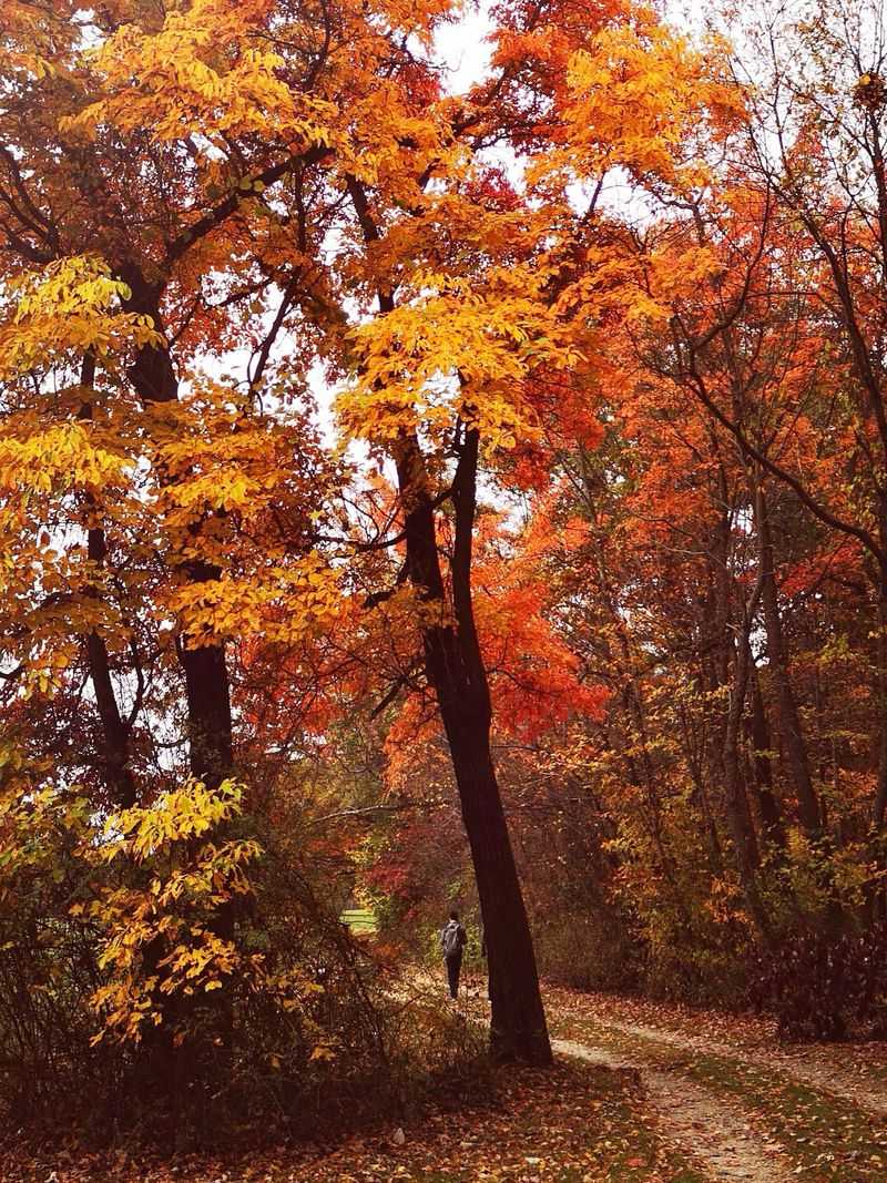 Ledges Overlook, Cuyahoga Valley National Park