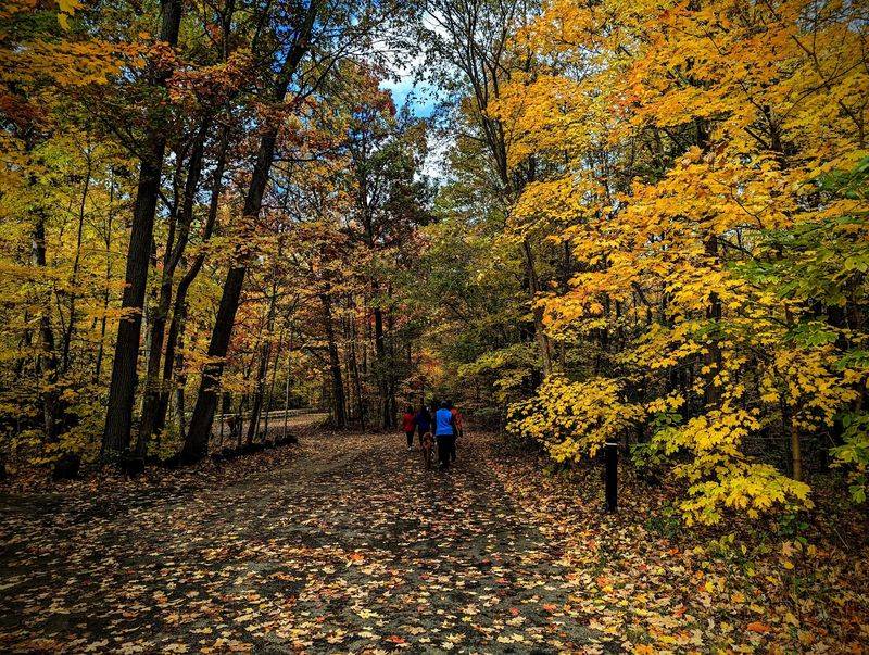 Ledges Trail, Cuyahoga Valley National Park
