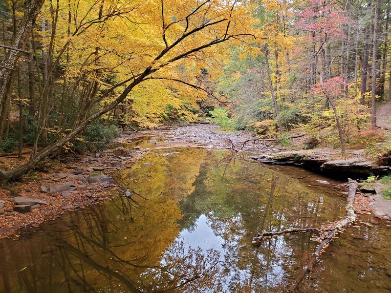Ledges Trail, James Creek, Pennsylvania