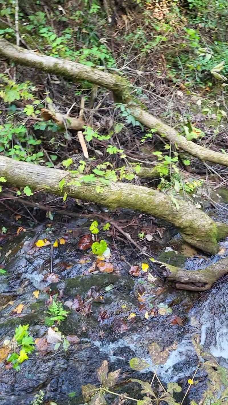 The Hike Has Historical Ties To Andrew Pickens And Cherokee Land