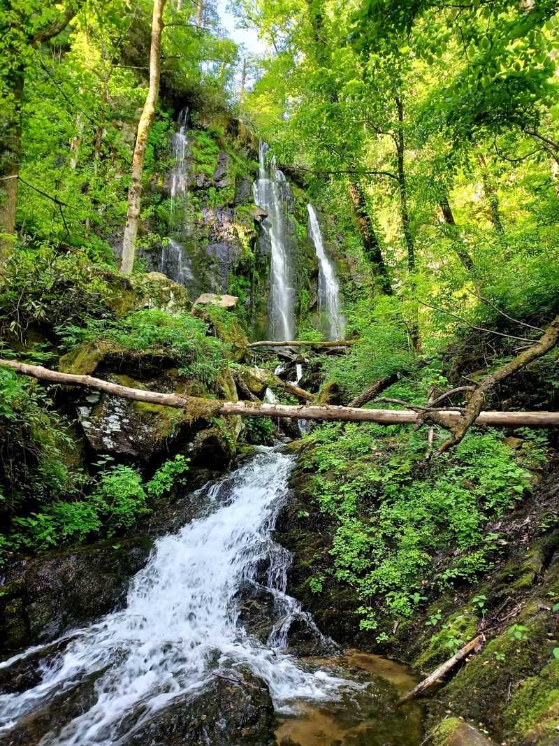 Lee Falls, Tamassee