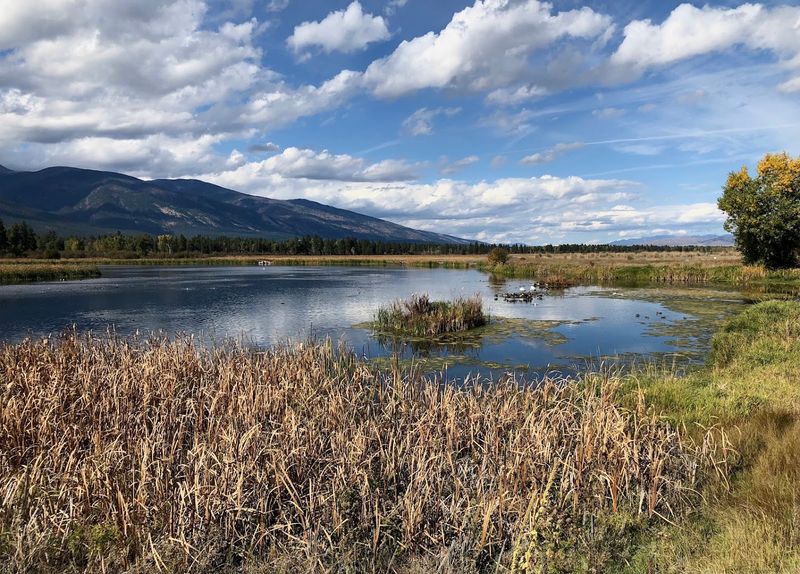 Lee Metcalf National Wildlife Refuge Is A Birdwatcher's Happy Place Lee Metcalf National Wildlife Refuge Is A Birdwatcher's Happy Place