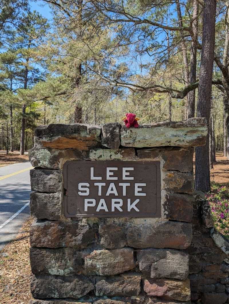 Lee State Park Artifacts And Lizard Man Exhibit, Bishopville Lee State Park Artifacts And Lizard Man Exhibit, Bishopville