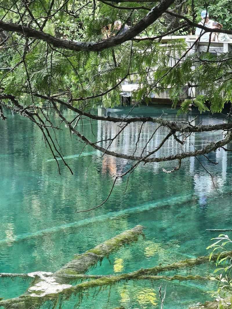 Practical Gear Checklist