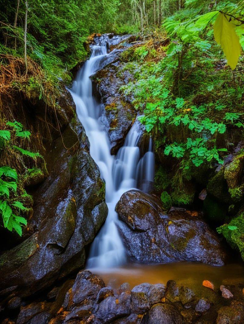 Lehigh Gorge State Park - Rockport Access