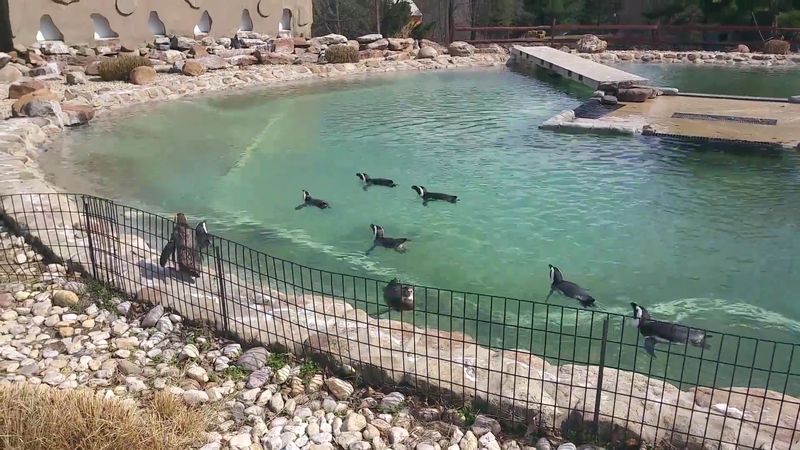 Lehigh Valley Zoo, Schnecksville, Pennsylvania