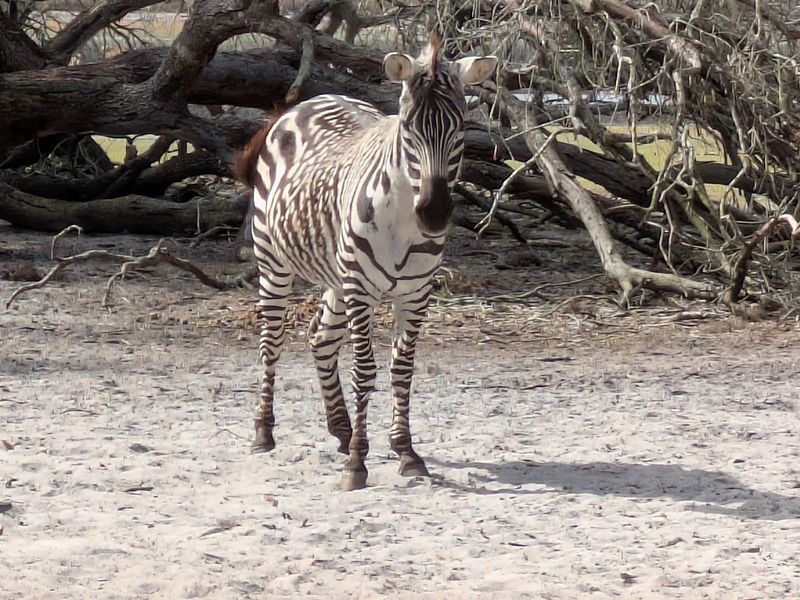 Knowledgeable And Passionate Guides Who Elevate Every Moment