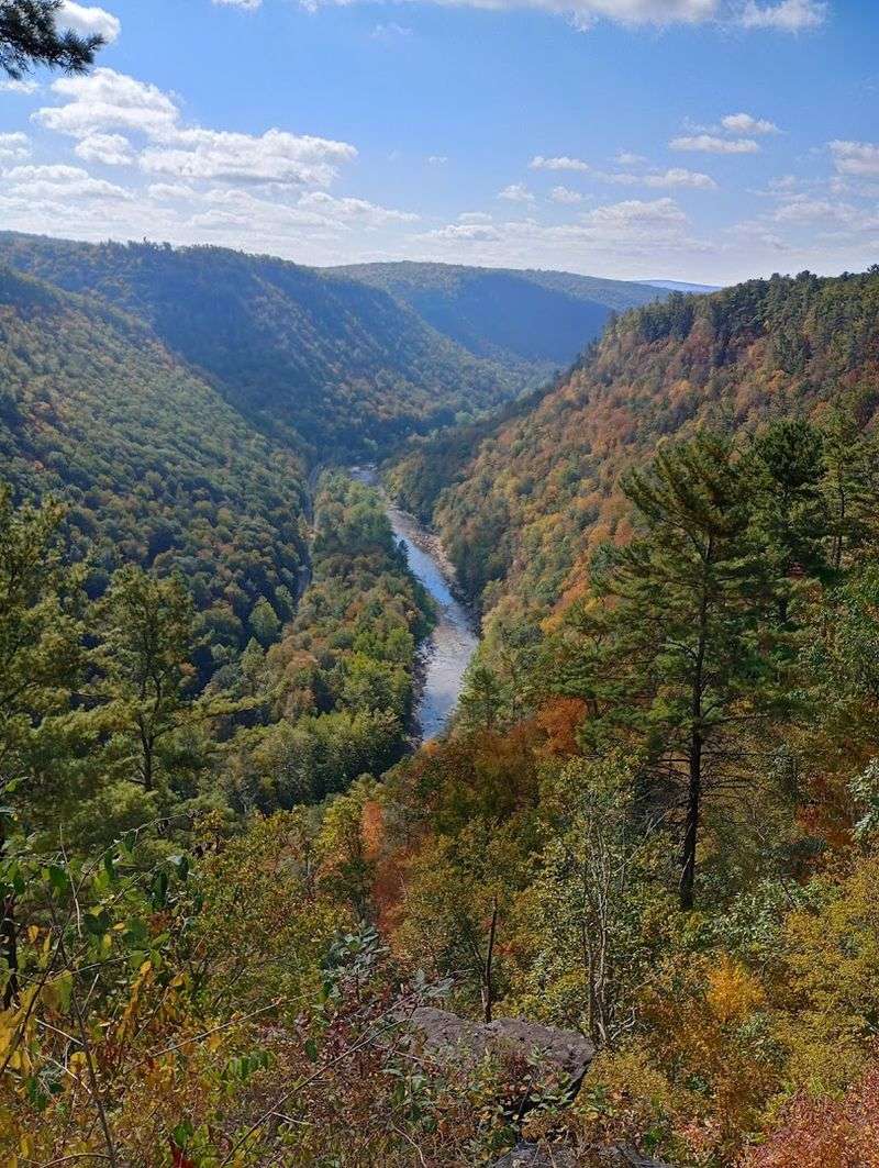 Colton Point State Park, Tioga County, Pennsylvania