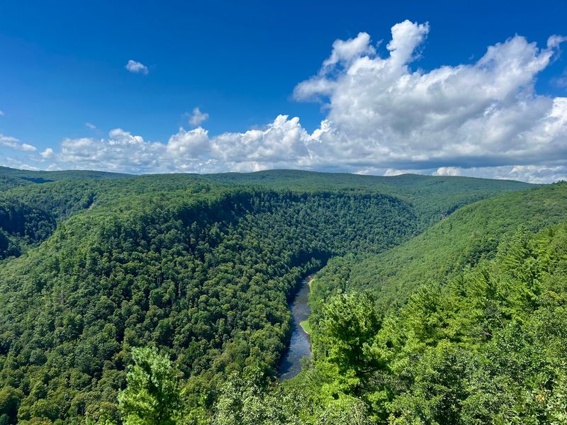 Leonard Harrison State Park, Tioga County