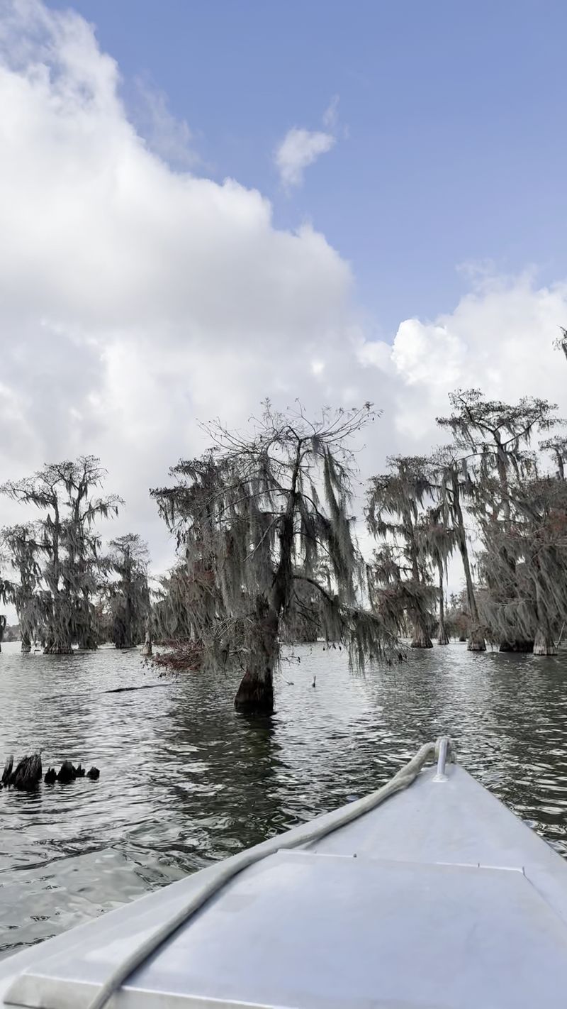 Let A Swamp Guide Do The Spotting For You Let A Swamp Guide Do The Spotting For You