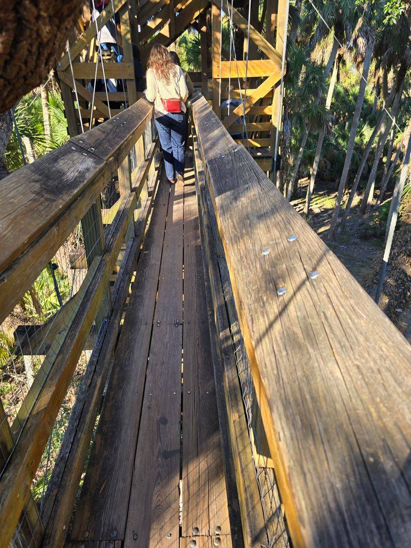 Move With The Bridge Not Against It