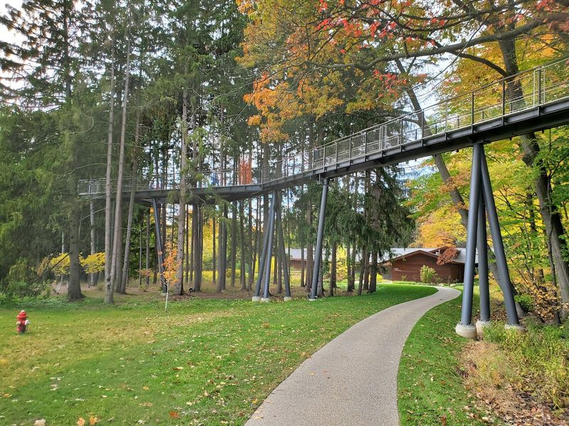 Let Eastman Avenue Lift You Into The Trees
