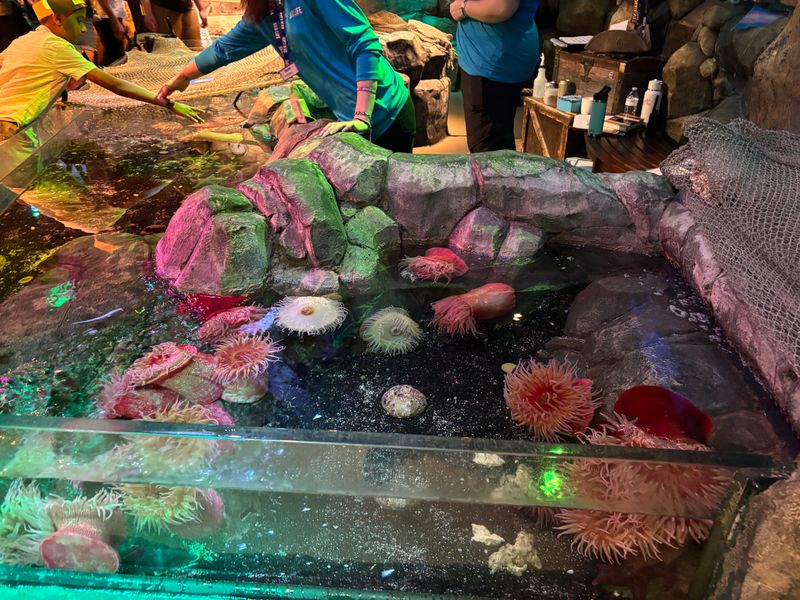 Touch Pool With Respect