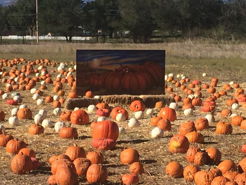 Let Penrose Give Your October Plan A Starting Point