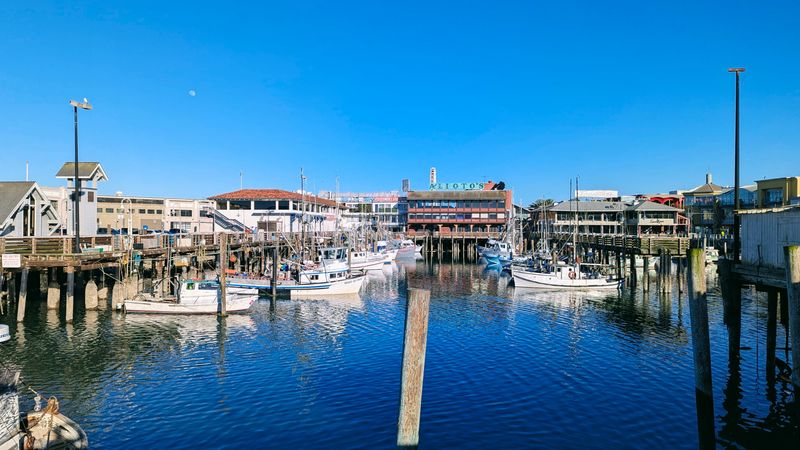 Notice The Dockside Choreography