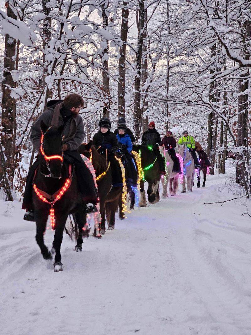 Let The Horse Lights Set The Mood