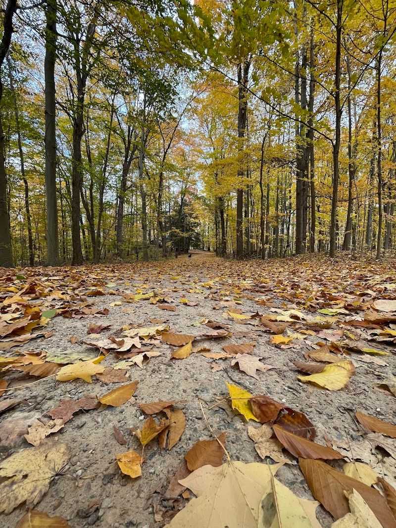 Walk The Trails Before You Do Anything Else