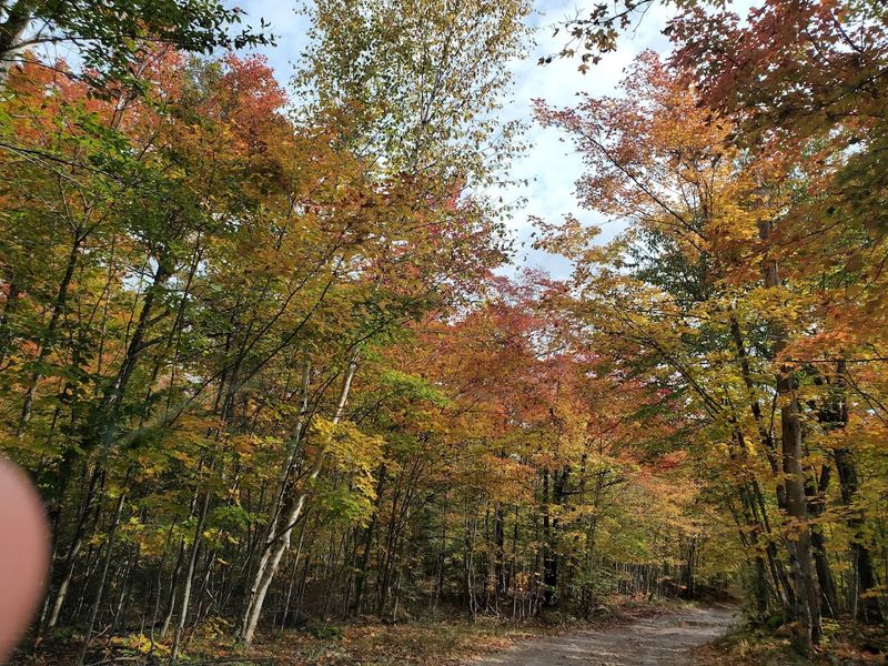 Let The Seasons Change The Plan Let The Seasons Change The Plan