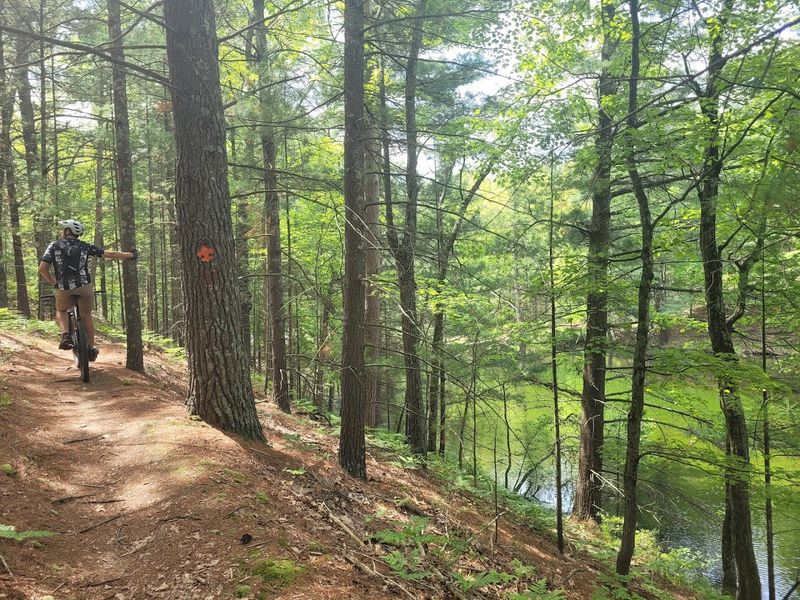 Let The Trails Set Your Pace
