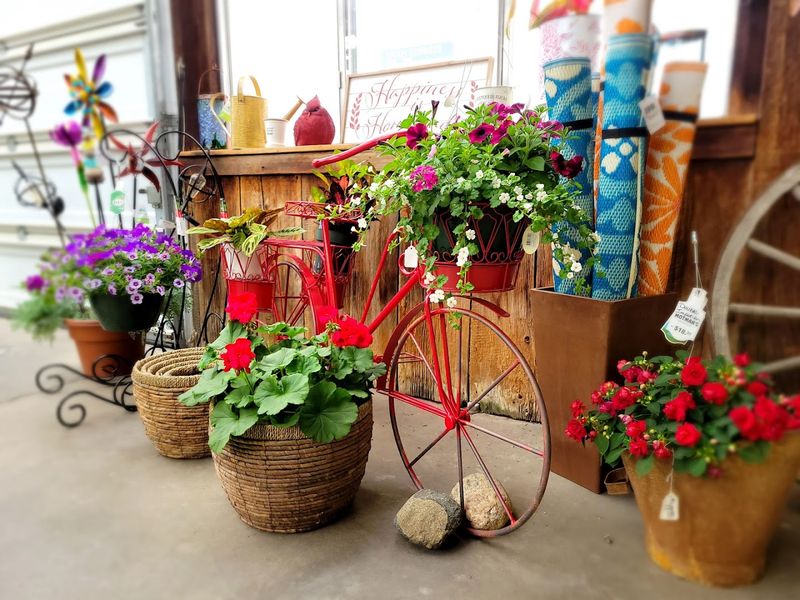 Let The Trip Be Cheerful, Even If You Are Not A Serious Gardener
