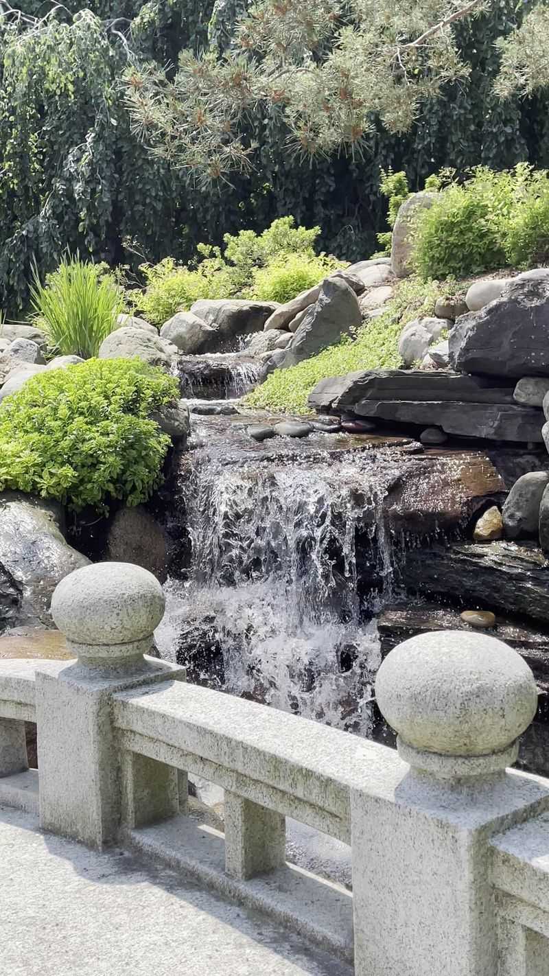 Let The Waterfall Set The Pace Let The Waterfall Set The Pace