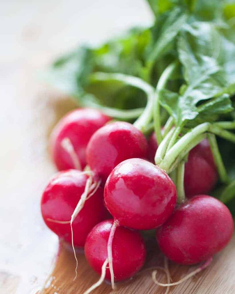 Radishes: Peppery Crunch Machines