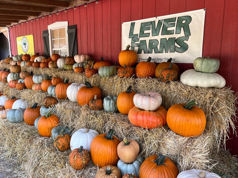 Lever Farm & Orchard Lever Farm & Orchard