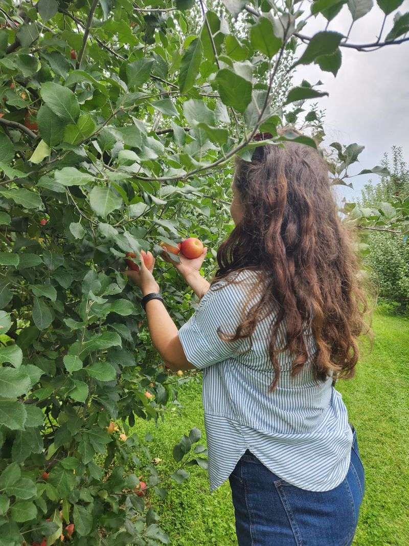 Liberty Apple Orchard, Edwardsville, IL