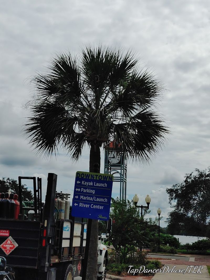 Life Along the St. Johns River Changes Everything