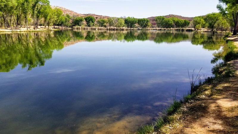 Life Along the Verde River